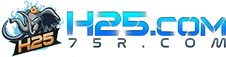 H25